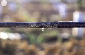 Irrigation