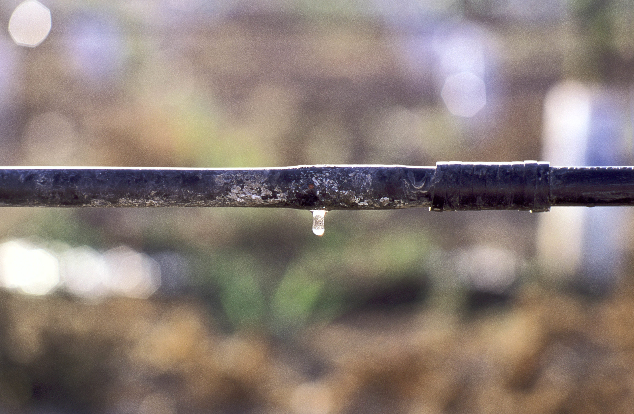 Irrigation Scaled 